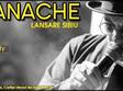 concert macanache