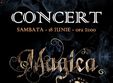 concert magica si the top hats