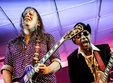concert malone sibun band