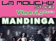 concert mandinga la arad