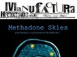 concert methadone skies timisoara