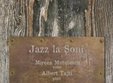 concert mircea mutulescu albert tajti la papa la soni
