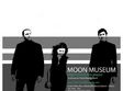 concert moon museum in timisoara