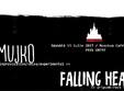 concert mujko falling heads