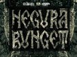 concert negura bunget