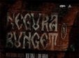 concert negura bunget