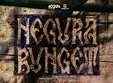 concert negura bunget la bucuresti