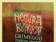 concert negura bunget la cluj napoca