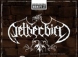 concert netherbird la cluj