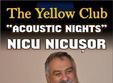 concert nicu nicusor in yellow club