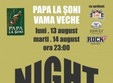 concert night losers in vama veche