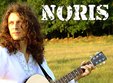 concert noris in timisoara