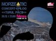 concert norzeatic turul pacii fabrica