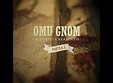 concert omu gnom la timisoara