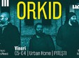 concert orkid