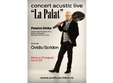 concert ovidiu scridon la palatul ghika