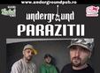 concert parazitii in underground pub