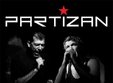 concert partizan la timisoara