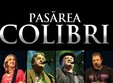 concert pasarea colibri la botosani in 2015