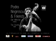 concert pedro negrescu
