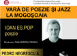 concert pedro negrescu si prietenii la palatul mogosoaia