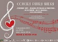 concert pentru sandra in irish music pub
