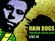 concert rain dogs la the blu zz