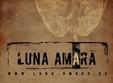 concert real lies si luna amara timisoara