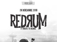 concert redrum a tribute to grunge