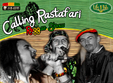 concert reggae calling rastafari