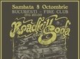 concert roadkullsoda la bucuresti