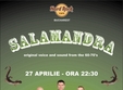 concert salamandra in hard rock cafe