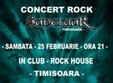 concert sanctuar la timisoara