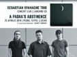 concert sebastian spanache trio la timisoara