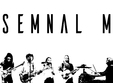 concert semnal m atelier draga ani