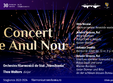 concert simfonic dirijor theo wolters