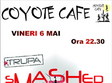 concert smashed mosquito la coyote cafe