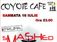 concert smashed mosquito la coyote cafe