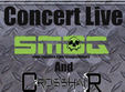 concert smog crosshair la club abyss din oradea