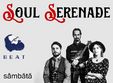 concert soul serenade la gradina cu flori