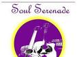 concert soul serenade la have a cigar cafe