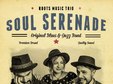 concert soul serenade pure acoustic roots iii