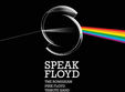 concert speak floyd in puzzle cafe