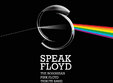 concert speak floyd in puzzle cafe