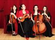 concert spring strings light quartet