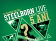 concert steelborn in mojo club