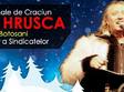 concert stefan hrusca la botosani