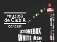 concert stonebox white ash stillborn in club a