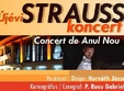 concert strauss de anul nou