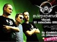 concert suie paparude in arad